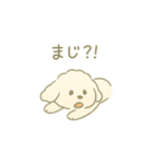 「ふわふわトイプー」（個別スタンプ：17）