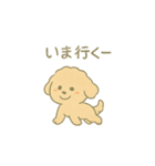 「ふわふわトイプー」（個別スタンプ：19）