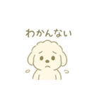 「ふわふわトイプー」（個別スタンプ：20）