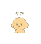 「ふわふわトイプー」（個別スタンプ：23）