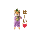 踊る！コスプレ犬（個別スタンプ：3）