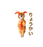 踊る！コスプレ犬（個別スタンプ：5）