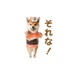踊る！コスプレ犬（個別スタンプ：7）