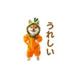 踊る！コスプレ犬（個別スタンプ：15）