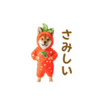 踊る！コスプレ犬（個別スタンプ：16）