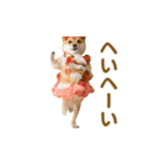 踊る！コスプレ犬（個別スタンプ：18）