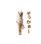 踊る！コスプレ犬（個別スタンプ：21）