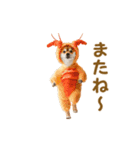 踊る！コスプレ犬（個別スタンプ：24）