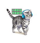 せいれんチャンネル みうちゃんスタンプ 猫（個別スタンプ：3）