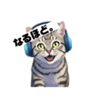 せいれんチャンネル みうちゃんスタンプ 猫（個別スタンプ：8）