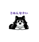 もふもふ白黒猫の即レススタンプ（個別スタンプ：19）