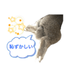 日常使えるうさぎさん改（個別スタンプ：39）