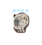 yama モコ1（個別スタンプ：1）