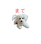 yama モコ1（個別スタンプ：3）