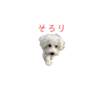 yama モコ1（個別スタンプ：7）