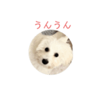 yama モコ1（個別スタンプ：8）