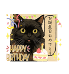 黒猫 ルナ院長166にゃんめ（個別スタンプ：2）
