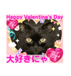 黒猫 ルナ院長166にゃんめ（個別スタンプ：3）