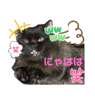 黒猫 ルナ院長166にゃんめ（個別スタンプ：4）