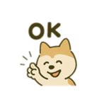 シバイヌの毎日（個別スタンプ：1）