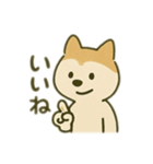 シバイヌの毎日（個別スタンプ：3）