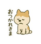 シバイヌの毎日（個別スタンプ：6）