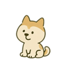シバイヌの毎日（個別スタンプ：8）