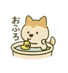 シバイヌの毎日（個別スタンプ：10）