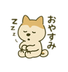 シバイヌの毎日（個別スタンプ：11）