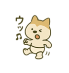 シバイヌの毎日（個別スタンプ：17）