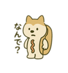 シバイヌの毎日（個別スタンプ：24）