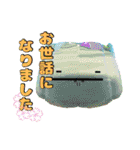 ひみつのおるすばん第五段（春編）（個別スタンプ：8）