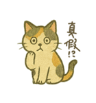 Cozy Neko Days (Chinese)（個別スタンプ：2）