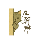 Cozy Neko Days (Chinese)（個別スタンプ：4）