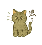 Cozy Neko Days (Chinese)（個別スタンプ：5）