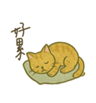 Cozy Neko Days (Chinese)（個別スタンプ：28）