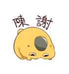 かんたんマーモット 春デスネ（個別スタンプ：30）