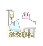 かんぶりあんず2（個別スタンプ：22）