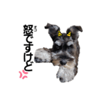 I’m WAG！（個別スタンプ：4）