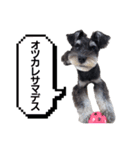 I’m WAG！（個別スタンプ：7）