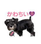 I’m WAG！（個別スタンプ：23）