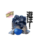 I’m WAG！（個別スタンプ：24）