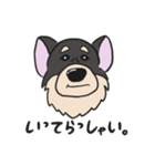 マギーさん。（個別スタンプ：18）