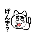 変顔猫のメッセージ 2（個別スタンプ：6）
