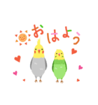 インコの動くご挨拶（個別スタンプ：1）