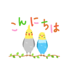 インコの動くご挨拶（個別スタンプ：2）