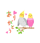 インコの動くご挨拶（個別スタンプ：3）