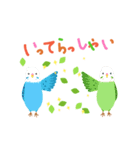 インコの動くご挨拶（個別スタンプ：4）