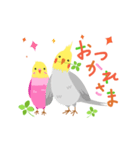 インコの動くご挨拶（個別スタンプ：5）