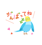 インコの動くご挨拶（個別スタンプ：6）